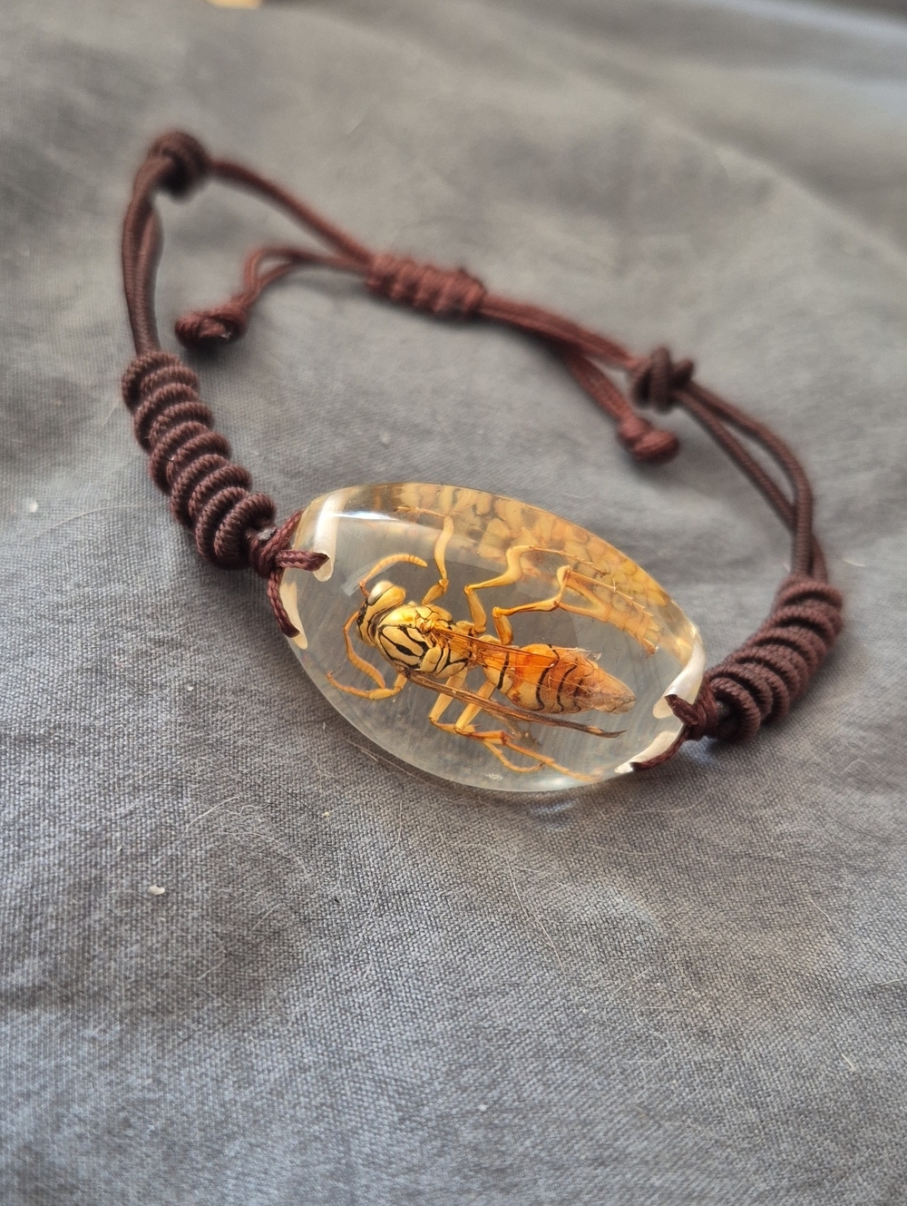 Encased Insect Resin Bracelet — Brown Cord